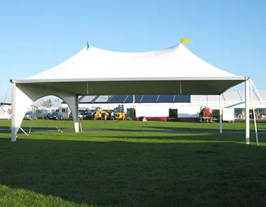 Party pvc Tents