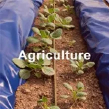 Agriculture-